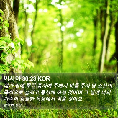 이사야 30:23 KOR Bible Verse Image