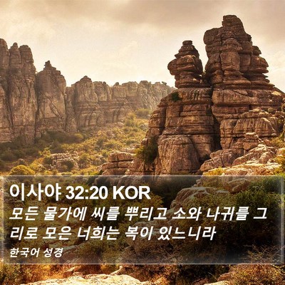 이사야 32:20 KOR Bible Verse Image