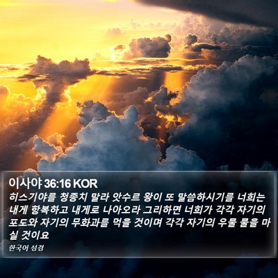 이사야 36:16 KOR Bible Verse Image