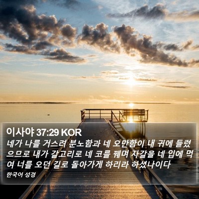 이사야 37:29 KOR Bible Verse Image