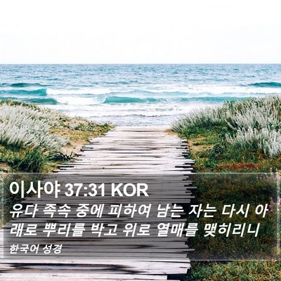 이사야 37:31 KOR Bible Verse Image