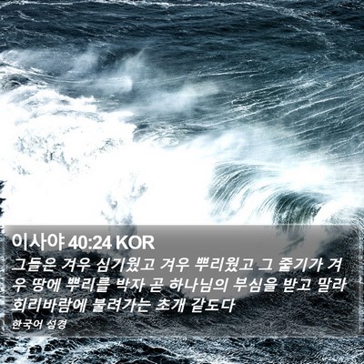 이사야 40:24 KOR Bible Verse Image