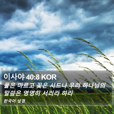 이사야 40:8 KOR Bible Verse Image