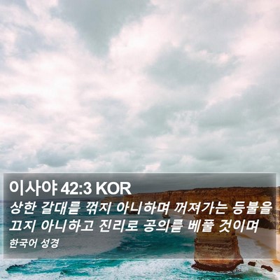 이사야 42:3 KOR Bible Verse Image