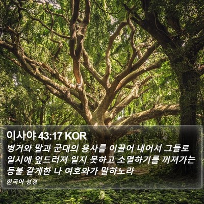 이사야 43:17 KOR Bible Verse Image
