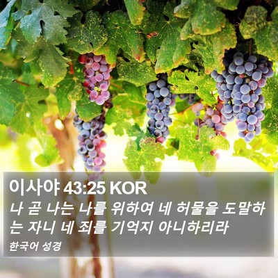 이사야 43:25 KOR Bible Verse Image