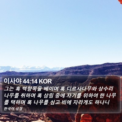 이사야 44:14 KOR Bible Verse Image
