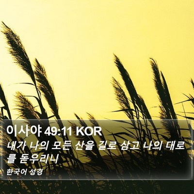 이사야 49:11 KOR Bible Verse Image