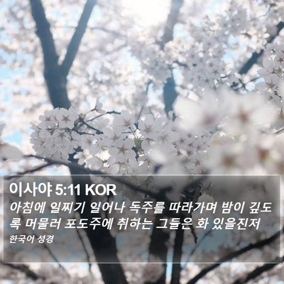 이사야 5:11 KOR Bible Verse Image