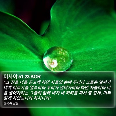 이사야 51:23 KOR Bible Verse Image