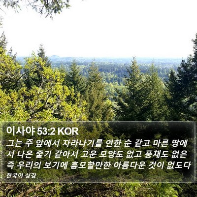 이사야 53:2 KOR Bible Verse Image