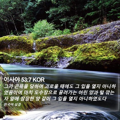 이사야 53:7 KOR Bible Verse Image