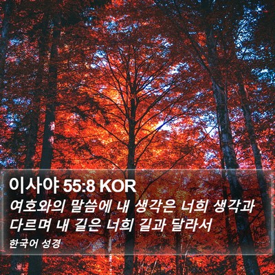 이사야 55:8 KOR Bible Verse Image