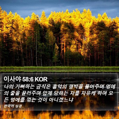 이사야 58:6 KOR Bible Verse Image