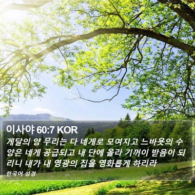 이사야 60:7 KOR Bible Verse Image