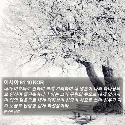 이사야 61:10 KOR Bible Verse Image