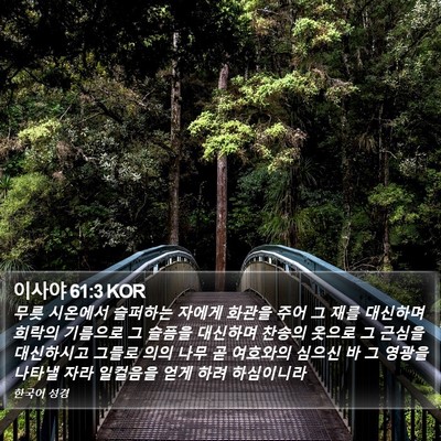 이사야 61:3 KOR Bible Verse Image