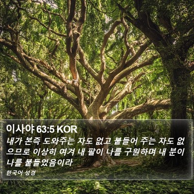 이사야 63:5 KOR Bible Verse Image