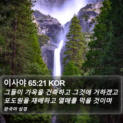 이사야 65:21 KOR Bible Verse Image
