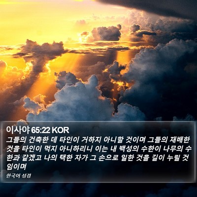 이사야 65:22 KOR Bible Verse Image
