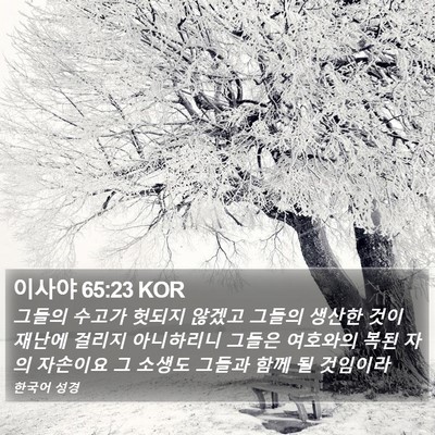 이사야 65:23 KOR Bible Verse Image