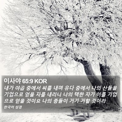 이사야 65:9 KOR Bible Verse Image