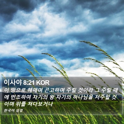 이사야 8:21 KOR Bible Verse Image