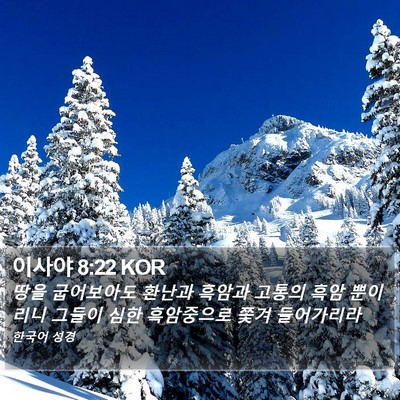 이사야 8:22 KOR Bible Verse Image