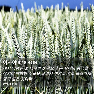 이사야 9:18 KOR Bible Verse Image