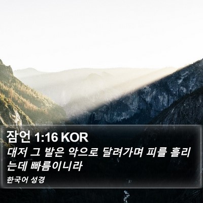잠언 1:16 KOR Bible Verse Image