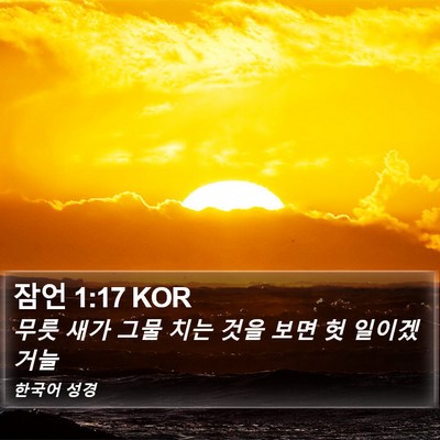 잠언 1:17 KOR Bible Verse Image