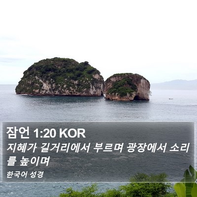 잠언 1:20 KOR Bible Verse Image