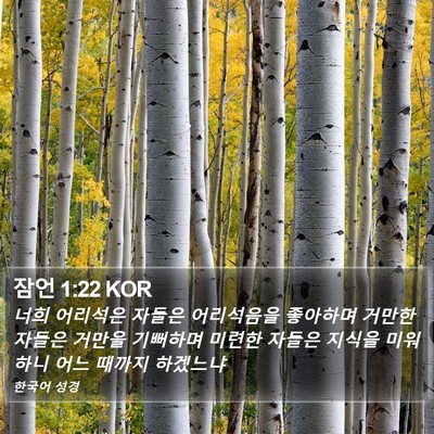 잠언 1:22 KOR Bible Verse Image