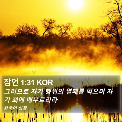 잠언 1:31 KOR Bible Verse Image