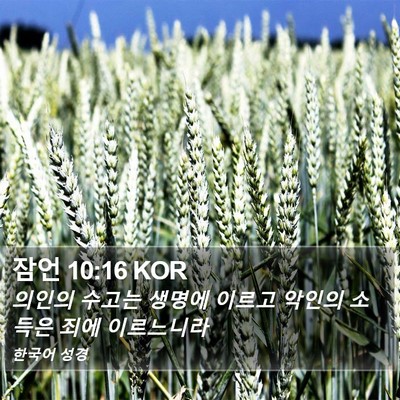 잠언 10:16 KOR Bible Verse Image