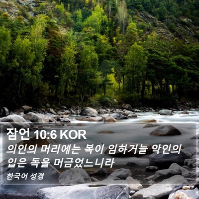 잠언 10:6 KOR Bible Verse Image