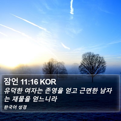 잠언 11:16 KOR Bible Verse Image