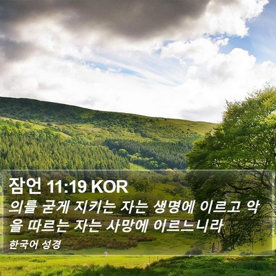 잠언 11:19 KOR Bible Verse Image