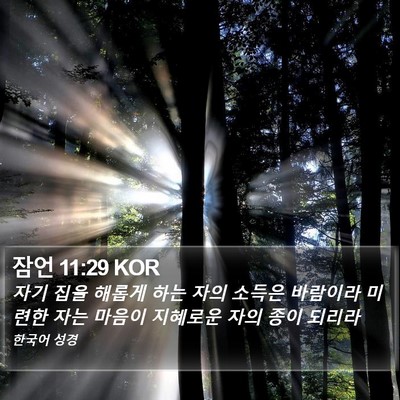 잠언 11:29 KOR Bible Verse Image