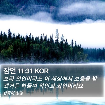 잠언 11:31 KOR Bible Verse Image