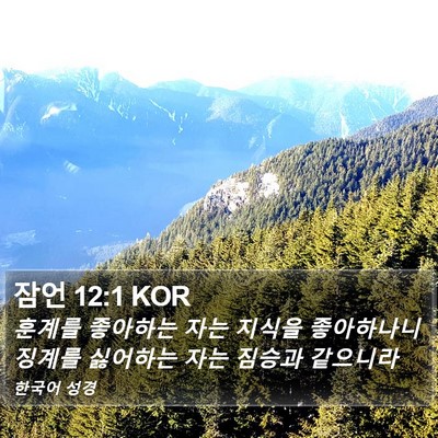 잠언 12:1 KOR Bible Verse Image