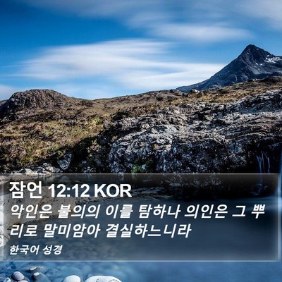 잠언 12:12 KOR Bible Verse Image