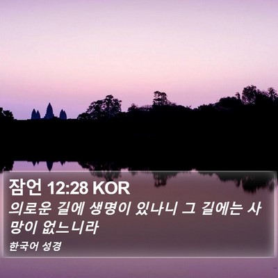 잠언 12:28 KOR Bible Verse Image