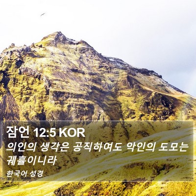 잠언 12:5 KOR Bible Verse Image