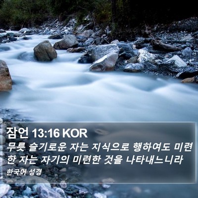 잠언 13:16 KOR Bible Verse Image