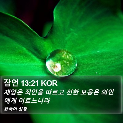 잠언 13:21 KOR Bible Verse Image