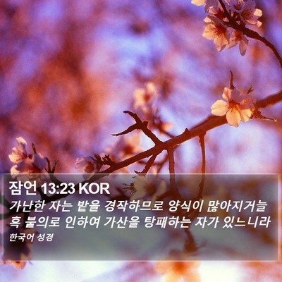 잠언 13:23 KOR Bible Verse Image
