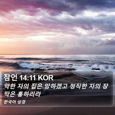 잠언 14:11 KOR Bible Verse Image