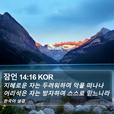 잠언 14:16 KOR Bible Verse Image