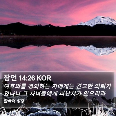 잠언 14:26 KOR Bible Verse Image